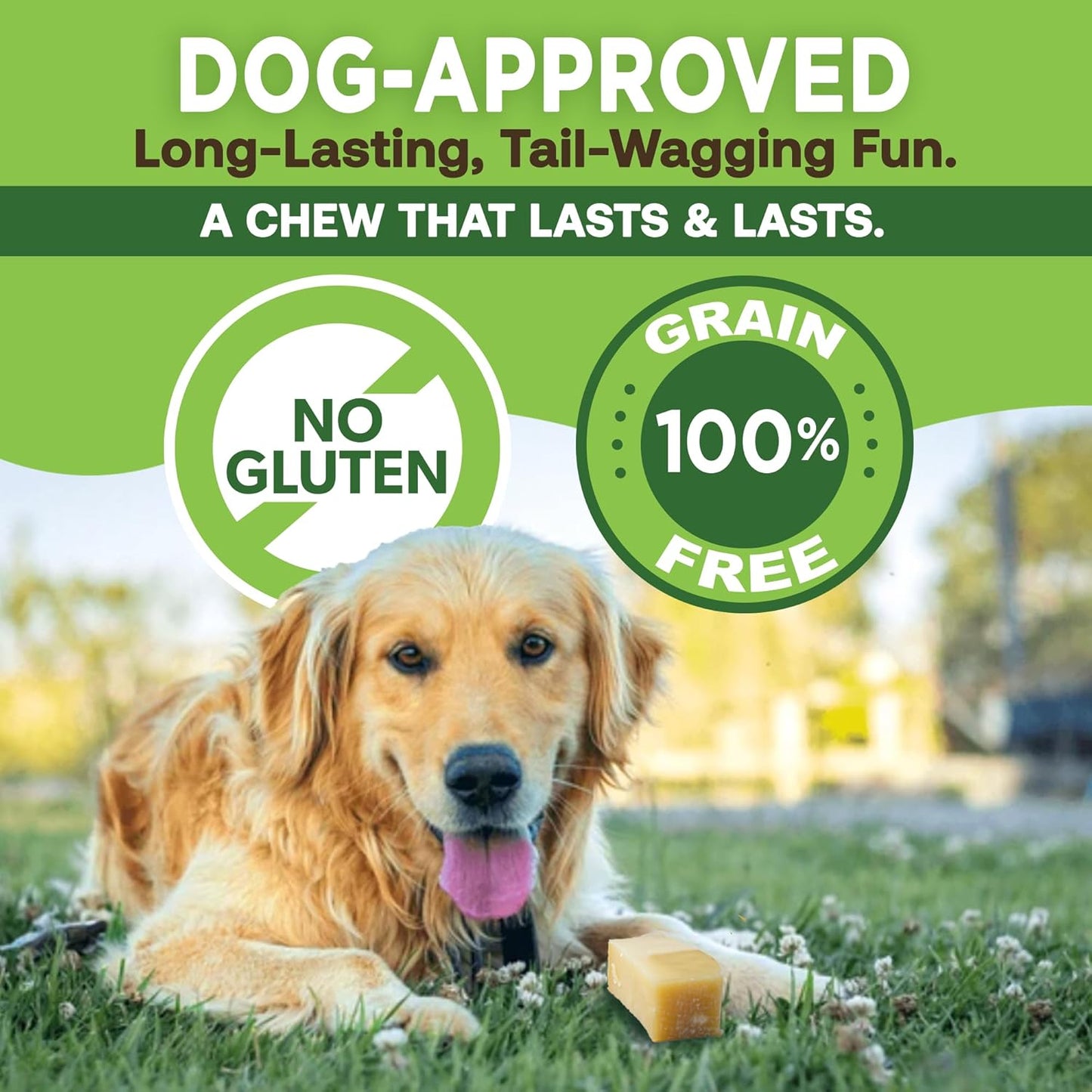 Gold Yak Chews for Small Dogs (4 - 75 sticks) DC-EcoKind Pet Treats